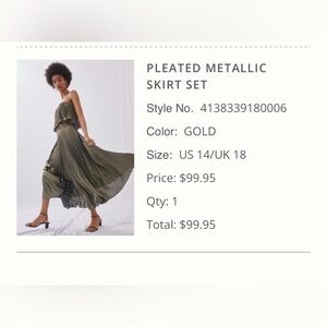 Anthropolgie Metallic Skirt Set